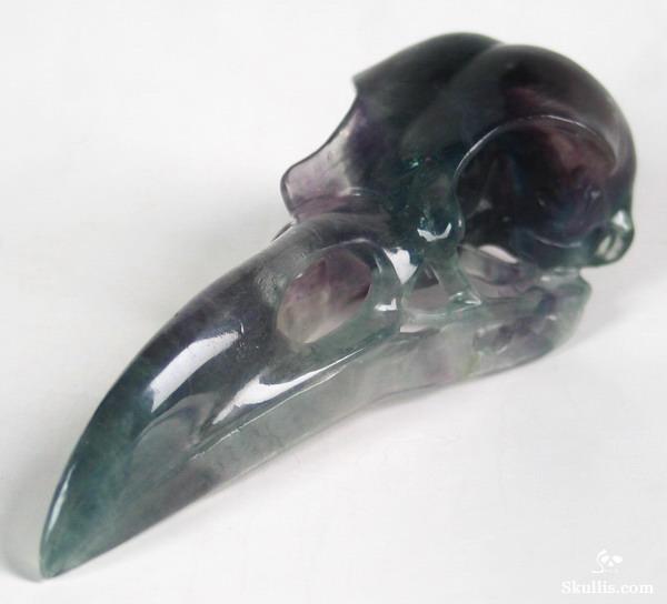 Fluorite Crystal Raven/Crow Skull