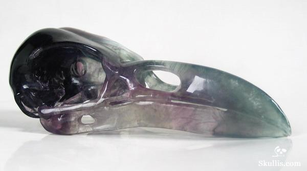 Fluorite Crystal Raven/Crow Skull