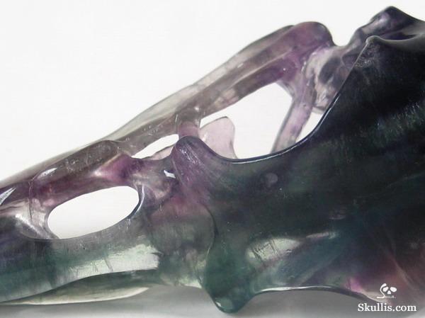 Fluorite Crystal Raven/Crow Skull