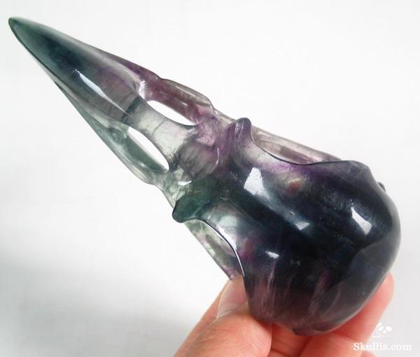Fluorite Crystal Raven/Crow Skull