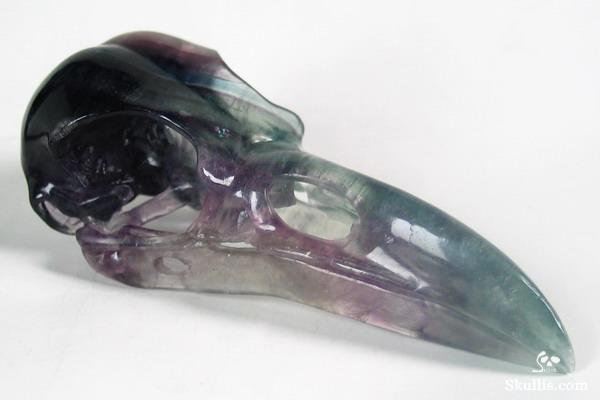 Fluorite Crystal Raven/Crow Skull