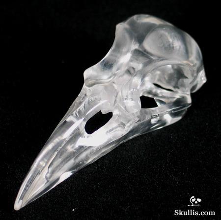 Quartz Rock Crystal Crystal Raven/Crow Skull