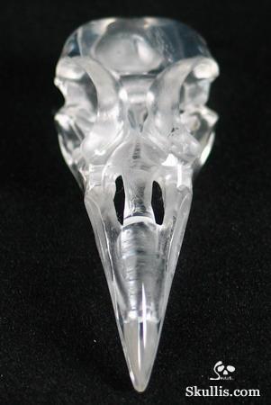 Quartz Rock Crystal Crystal Raven/Crow Skull