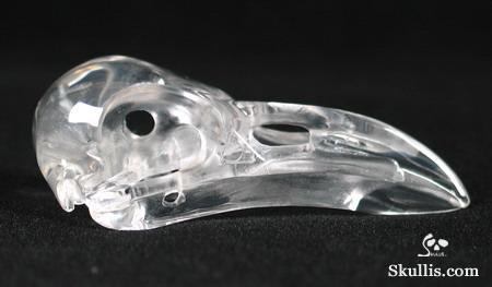 Quartz Rock Crystal Crystal Raven/Crow Skull