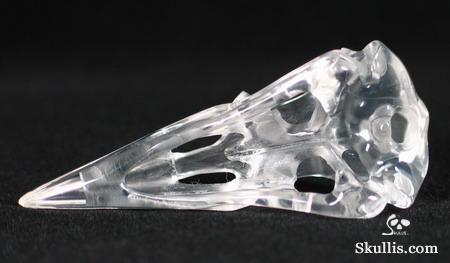 Quartz Rock Crystal Crystal Raven/Crow Skull