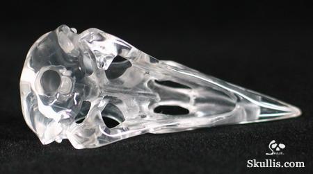 Quartz Rock Crystal Crystal Raven/Crow Skull