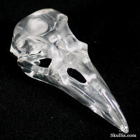 Quartz Rock Crystal Crystal Raven/Crow Skull