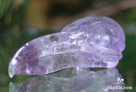 Amethyst Crystal Raven/Crow Skull