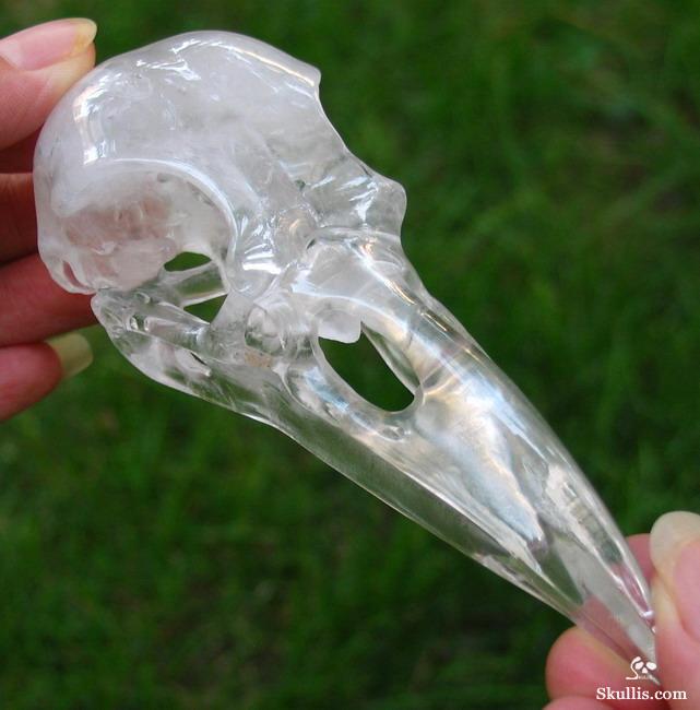 Quartz Rock Crystal Crystal Raven/Crow Skull