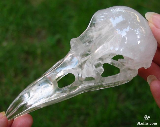 Quartz Rock Crystal Crystal Raven/Crow Skull