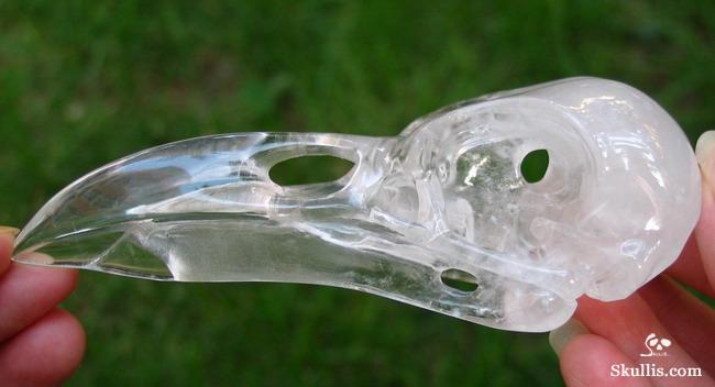 Quartz Rock Crystal Crystal Raven/Crow Skull
