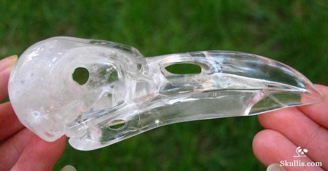 Quartz Rock Crystal Crystal Raven/Crow Skull