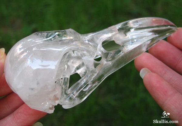 Quartz Rock Crystal Crystal Raven/Crow Skull