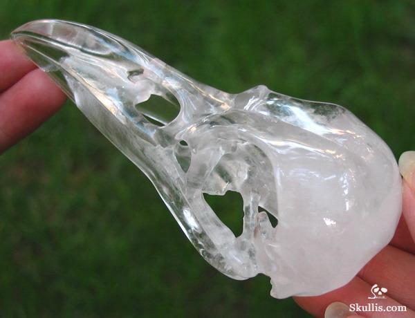 Quartz Rock Crystal Crystal Raven/Crow Skull