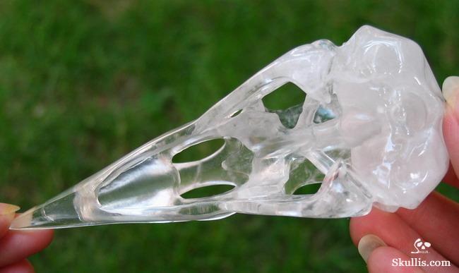 Quartz Rock Crystal Crystal Raven/Crow Skull
