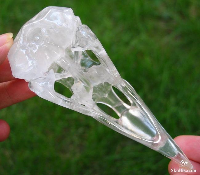 Quartz Rock Crystal Crystal Raven/Crow Skull