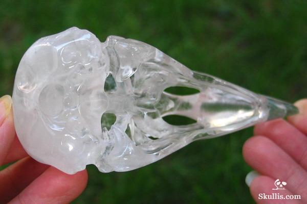 Quartz Rock Crystal Crystal Raven/Crow Skull