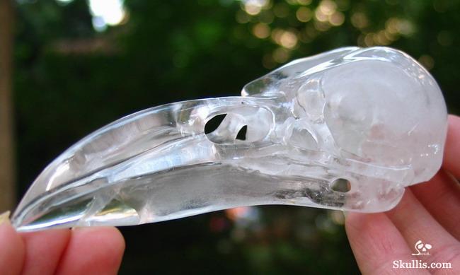 Quartz Rock Crystal Crystal Raven/Crow Skull