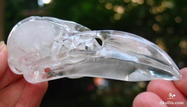 Quartz Rock Crystal Crystal Raven/Crow Skull