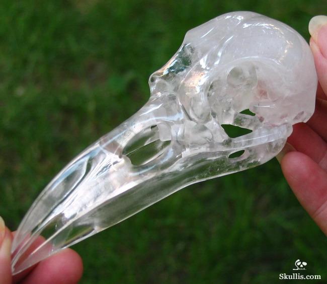 Quartz Rock Crystal Crystal Raven/Crow Skull
