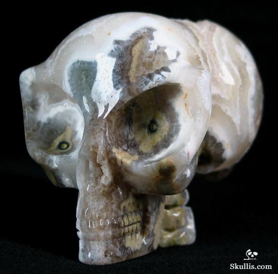 Ocean Jasper Crystal Alien Skull