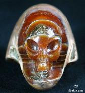 2.4" Nautiloid Fossil Carved Crystal Alien Skull