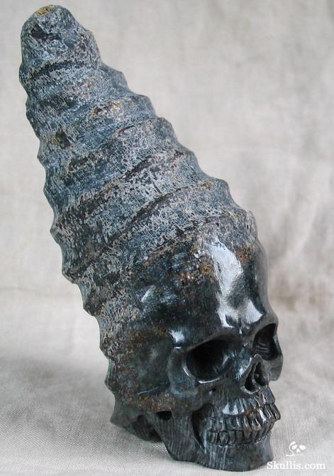 Fossil Horn Coral Crystal Skull
