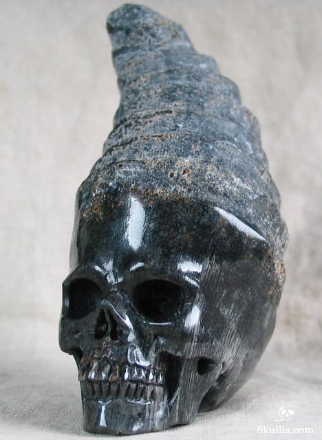 Fossil Horn Coral Crystal Skull