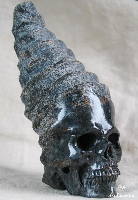 Fossil Horn Coral Crystal Skull