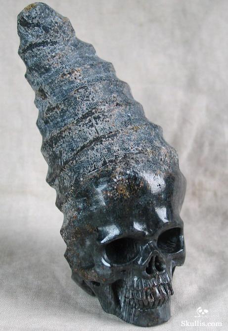 Fossil Horn Coral Crystal Skull