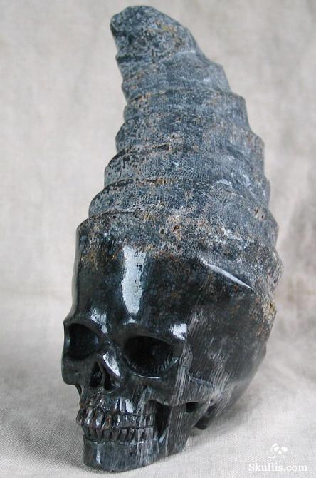 Fossil Horn Coral Crystal Skull
