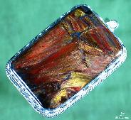 Pietersite Carved Crystal Cabochon Pendant, sliver