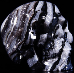 AMAZING Huge 4.8" Black Zebra Agate Carved Crystal Skull, Super Realistic Skull