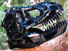 Amazing 6.4" Black Obsidian Carved Crystal Tyrannosaurus/dinosaur Skull