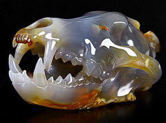 Dec 28, 2014 ACSAD (A Crystal Skull a Day) - Ulv - Agate Carved Crystal Wolf Skull with Geode Sculpture