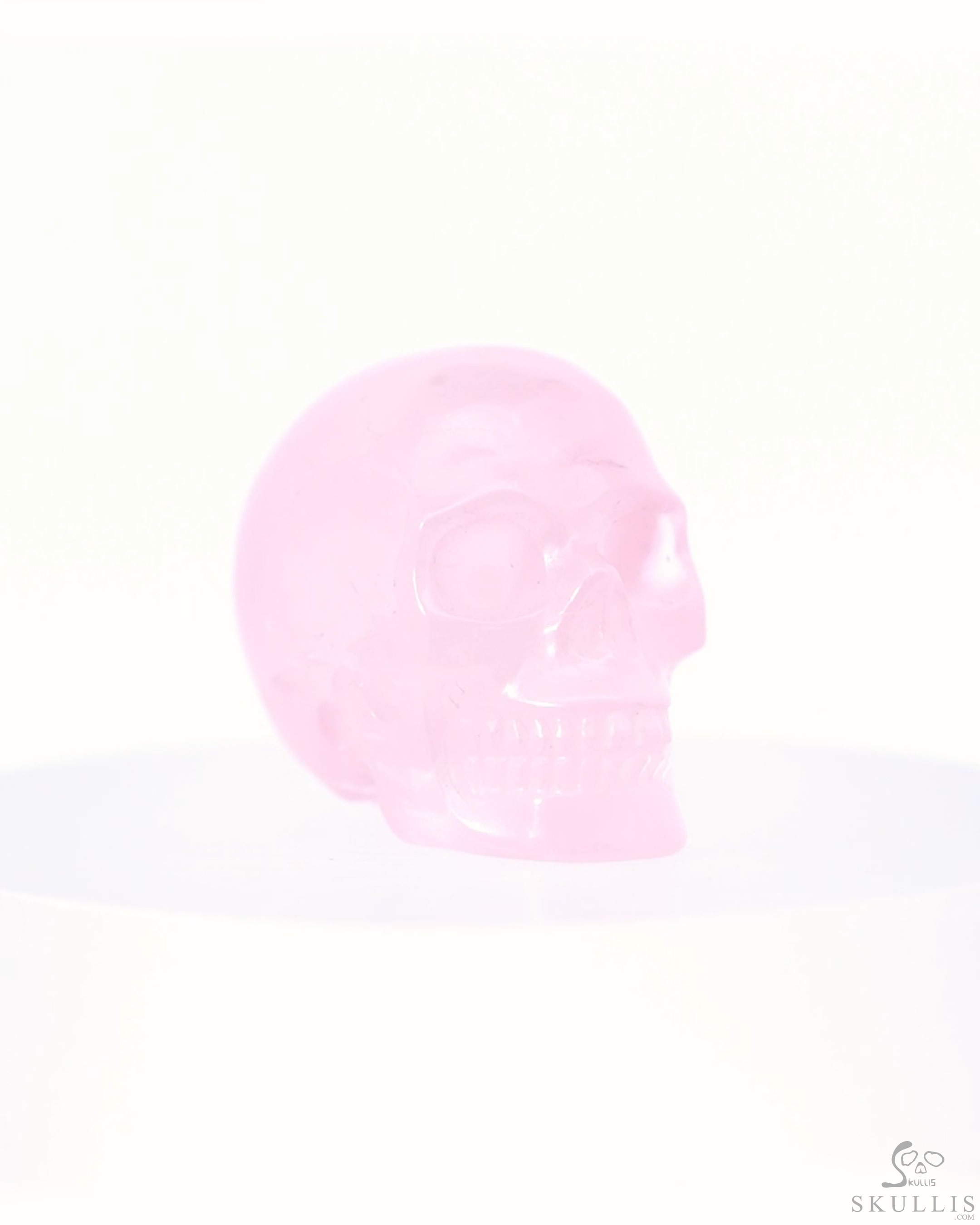 1.2" Rose Quartz Hand Carved Crystal Skull, Realistic, Crystal Healing 1.2" Rose Quartz Hand Carved Crystal Skull, Realistic, Crystal Healing