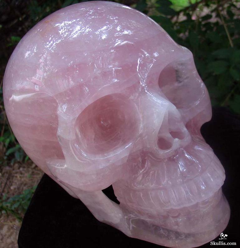 Titan 12.3" Rose Quartz Carved Crystal Skull, Realistic Titan 12.3" Rose Quartz Carved Crystal Skull, Realistic