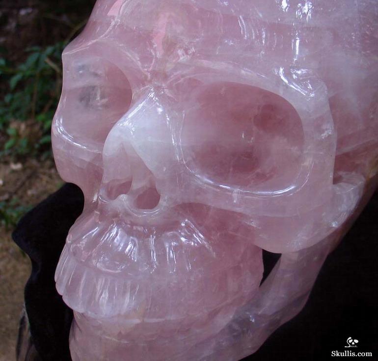 Titan 12.3" Rose Quartz Carved Crystal Skull, Realistic Titan 12.3" Rose Quartz Carved Crystal Skull, Realistic