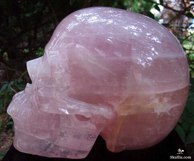 Titan 12.3" Rose Quartz Carved Crystal Skull, Realistic Titan 12.3" Rose Quartz Carved Crystal Skull, Realistic