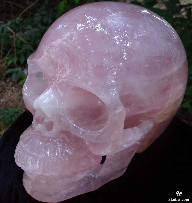 Titan 12.3" Rose Quartz Carved Crystal Skull, Realistic Titan 12.3" Rose Quartz Carved Crystal Skull, Realistic