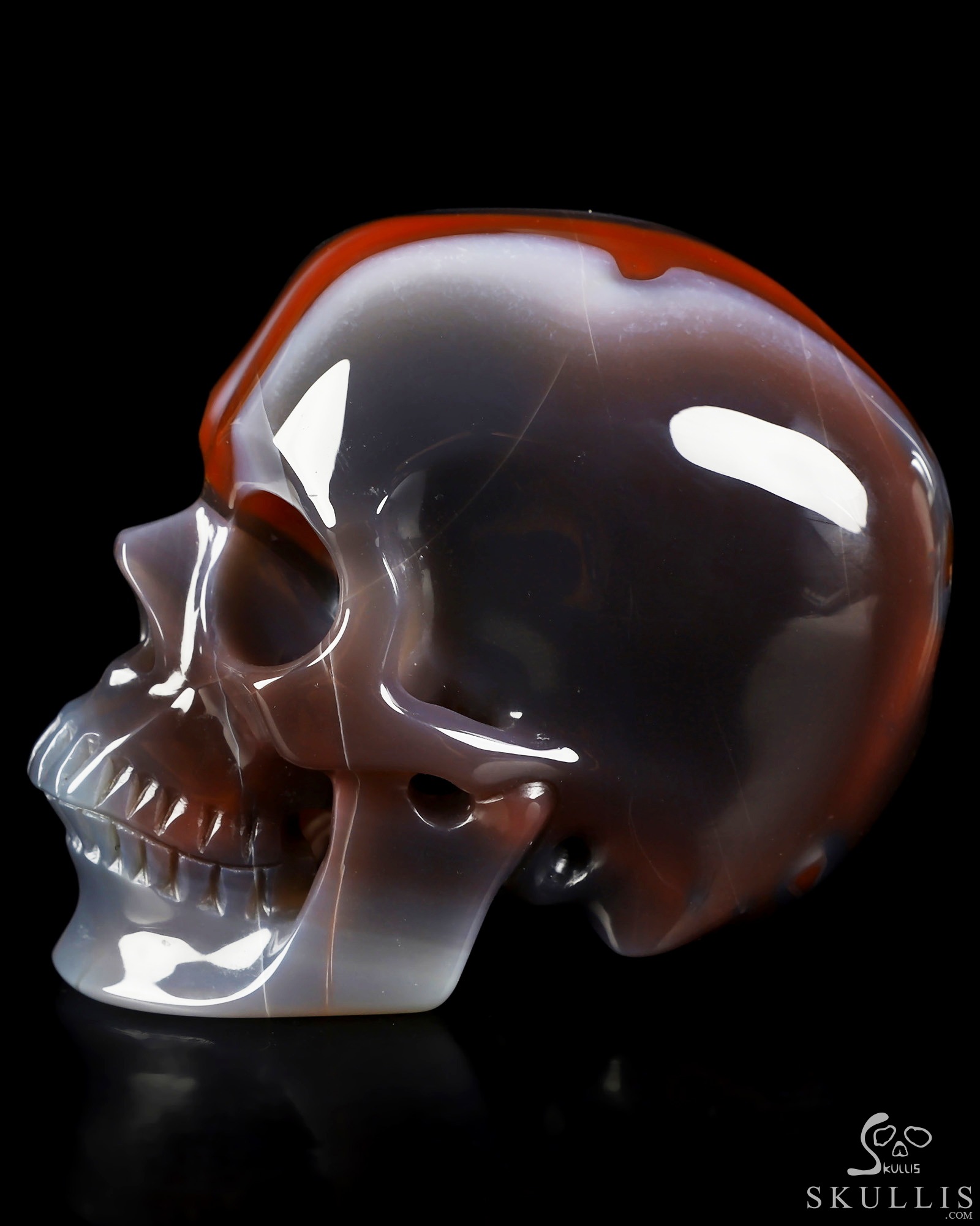 Aug 28, 2026 ACSAD (A Crystal Skull a Day) - The Wound That Became Light - Gemstone 4.1" Mozambique Agate Hand Carved Crystal Skull, Super Realistic, Crystal Healing Aug 28, 2026 ACSAD (A Crystal Skull a Day) - The Wound That Became Light - Gemstone 4.1" Mozambique Agate Hand Carved Crystal Skull, Super Realistic, Crystal Healing