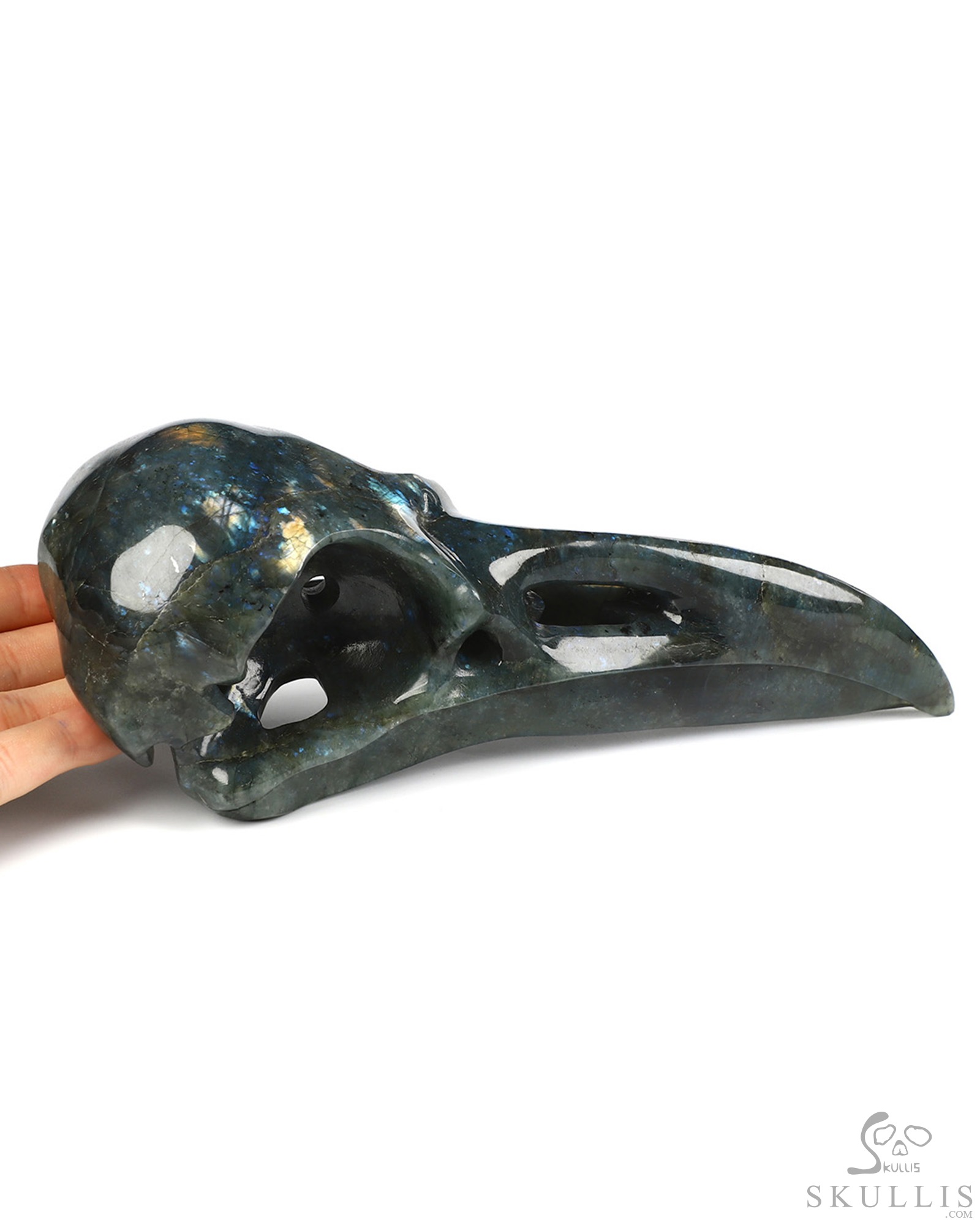 9.1" Labradorite Hand Carved Raven Crystal Skull Sculpture, Crystal Healing 9.1" Labradorite Hand Carved Raven Crystal Skull Sculpture, Crystal Healing