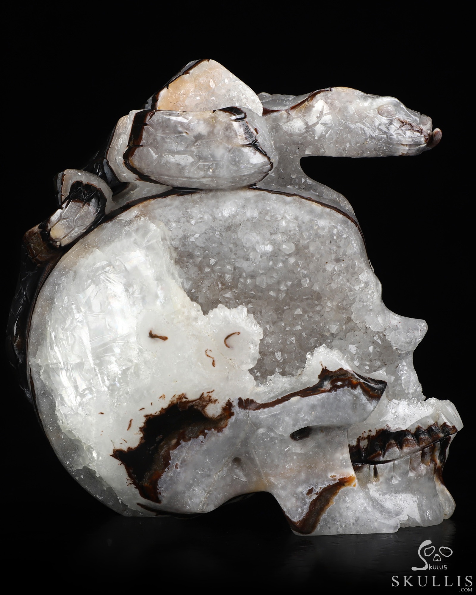 4.6" Black Zebra Agate Hand Carved Crystal Skull and Snake Sculpture, Crystal Healing 4.6" Black Zebra Agate Hand Carved Crystal Skull and Snake Sculpture, Crystal Healing