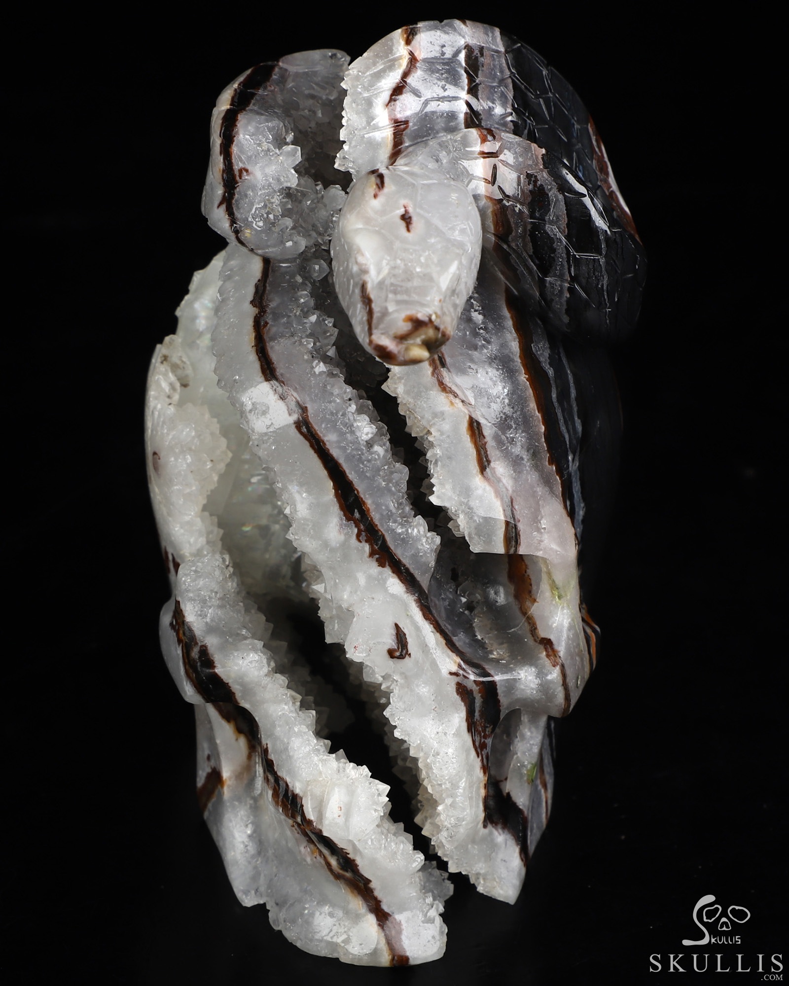 4.6" Black Zebra Agate Hand Carved Crystal Skull and Snake Sculpture, Crystal Healing 4.6" Black Zebra Agate Hand Carved Crystal Skull and Snake Sculpture, Crystal Healing
