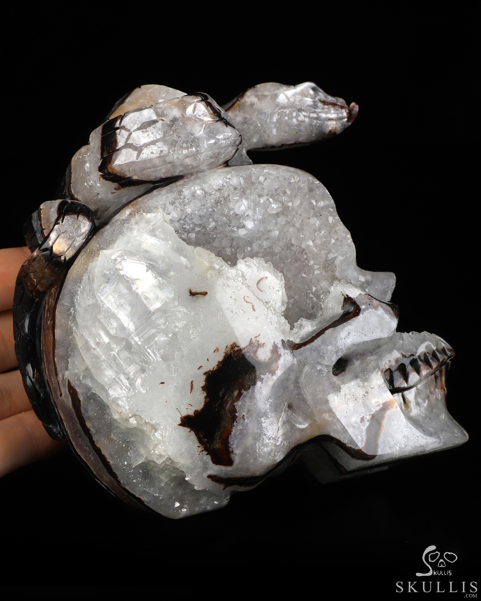 4.6" Black Zebra Agate Hand Carved Crystal Skull and Snake Sculpture, Crystal Healing 4.6" Black Zebra Agate Hand Carved Crystal Skull and Snake Sculpture, Crystal Healing