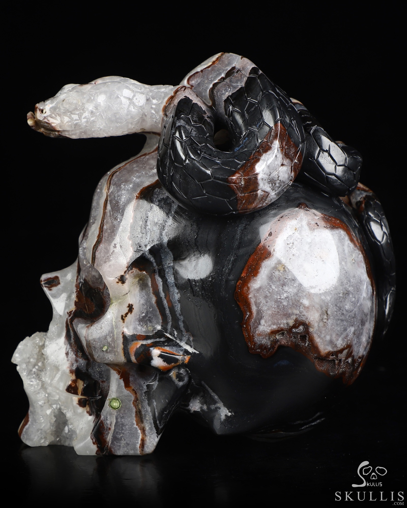 4.6" Black Zebra Agate Hand Carved Crystal Skull and Snake Sculpture, Crystal Healing 4.6" Black Zebra Agate Hand Carved Crystal Skull and Snake Sculpture, Crystal Healing