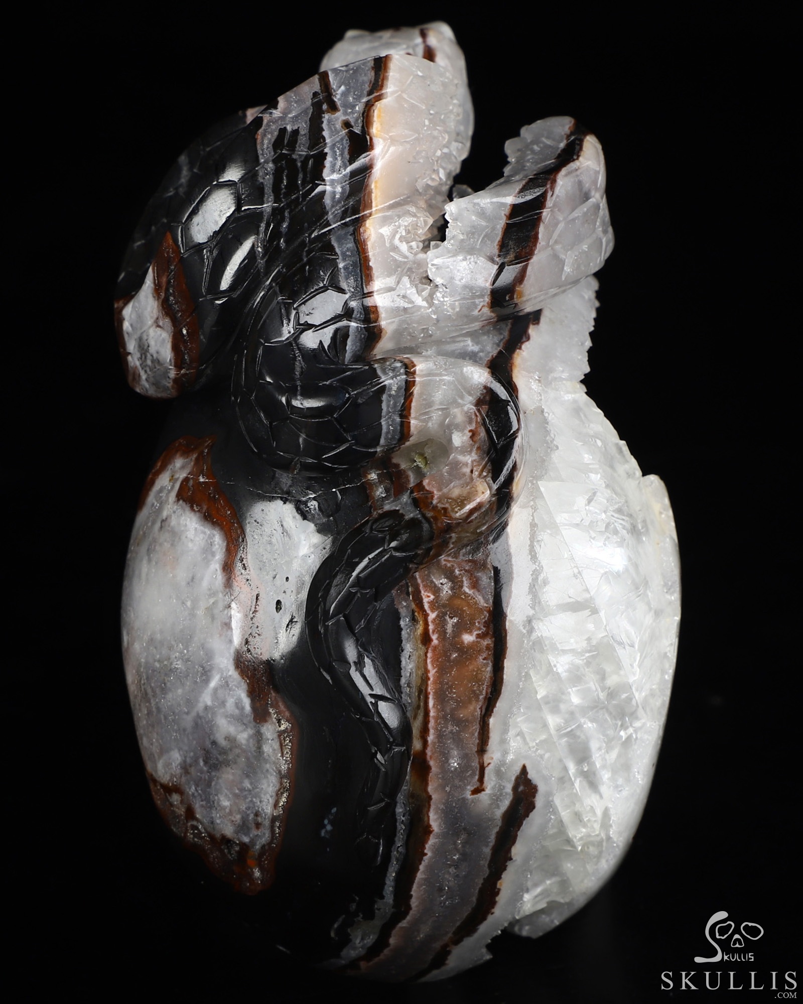 4.6" Black Zebra Agate Hand Carved Crystal Skull and Snake Sculpture, Crystal Healing 4.6" Black Zebra Agate Hand Carved Crystal Skull and Snake Sculpture, Crystal Healing