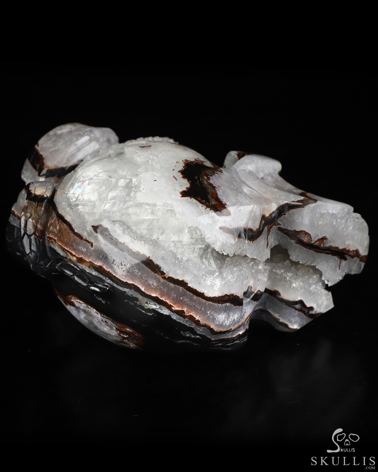 4.6" Black Zebra Agate Hand Carved Crystal Skull and Snake Sculpture, Crystal Healing 4.6" Black Zebra Agate Hand Carved Crystal Skull and Snake Sculpture, Crystal Healing
