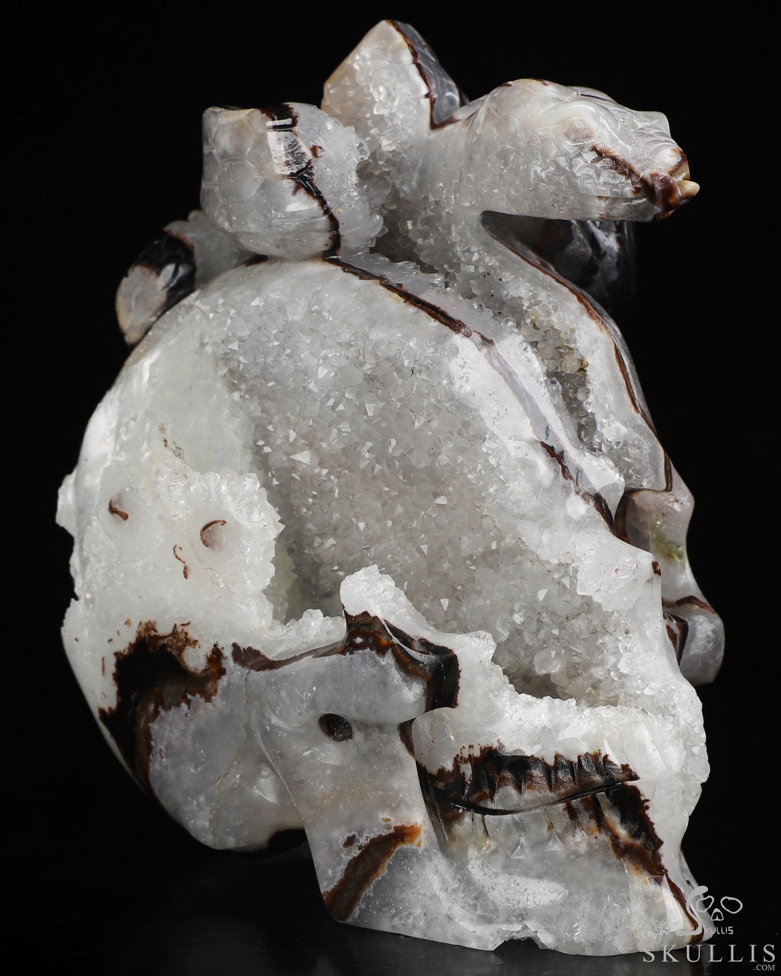 4.6" Black Zebra Agate Hand Carved Crystal Skull and Snake Sculpture, Crystal Healing 4.6" Black Zebra Agate Hand Carved Crystal Skull and Snake Sculpture, Crystal Healing