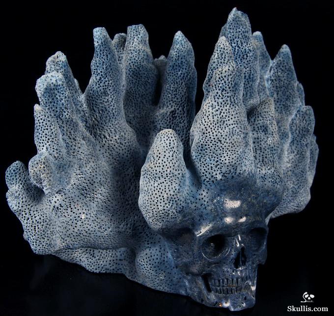 Aug 5 , 2014 ACSAD (A Crystal Skull a Day) - Reef Keep - Blue